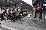 Gara delle Bighe 2011-7806